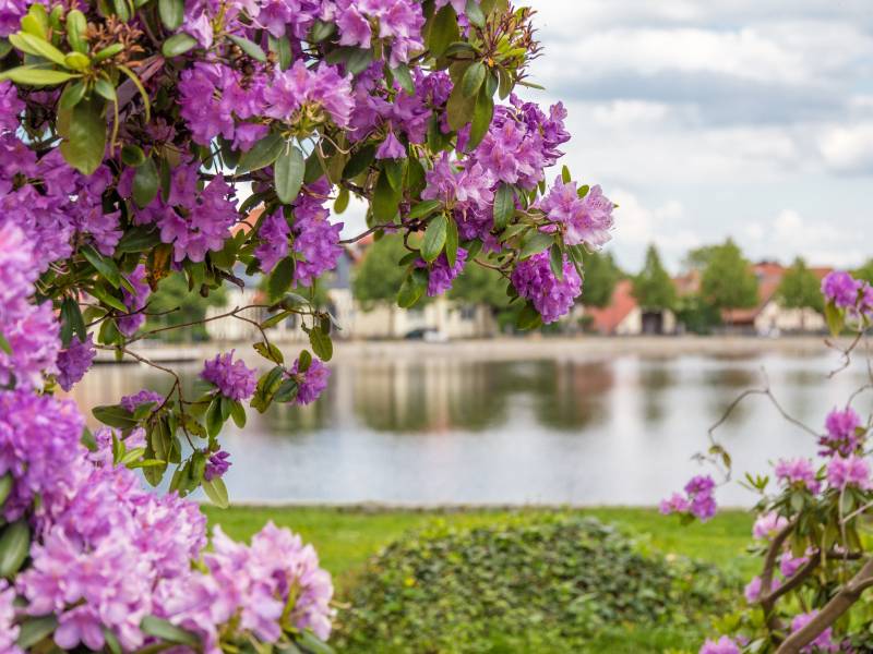 Neuwertig | Teils mit Garten - Moderne Erdgeschoss-Wohnungen Am Forellenpark | Ilsenburg